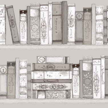 Library Books Sepia