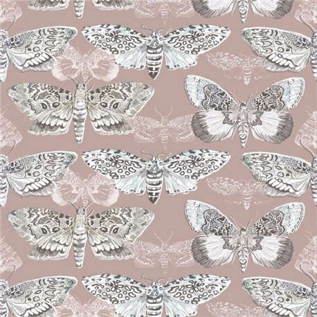 Nocturnal Taupe Nocturnal Taupe