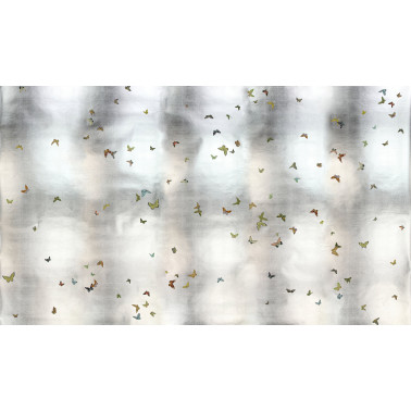 Butterflies Butterflies...