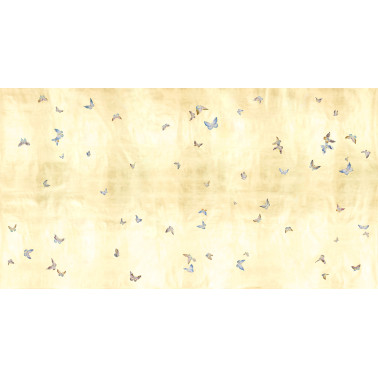 Butterflies Butterflies...