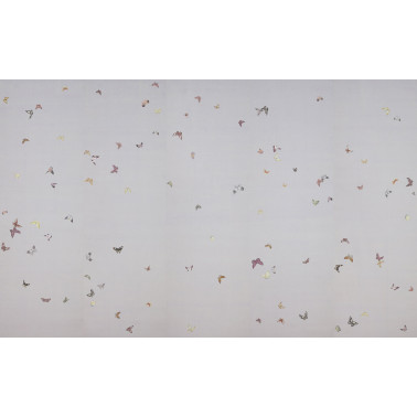 Butterflies Butterflies...