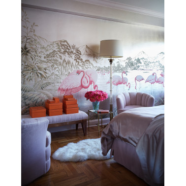 Flamingos Flamingo sur...