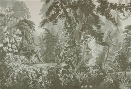 L´Eden Crystal Grey on scenic paper