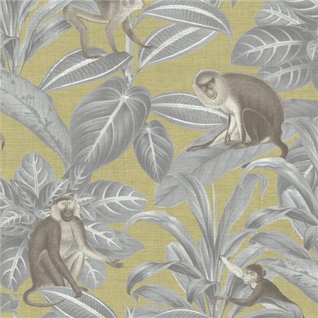 Indian Monkey Emperor Yellow DYW0008 Indian Monkey Emperor Yellow DYW0008