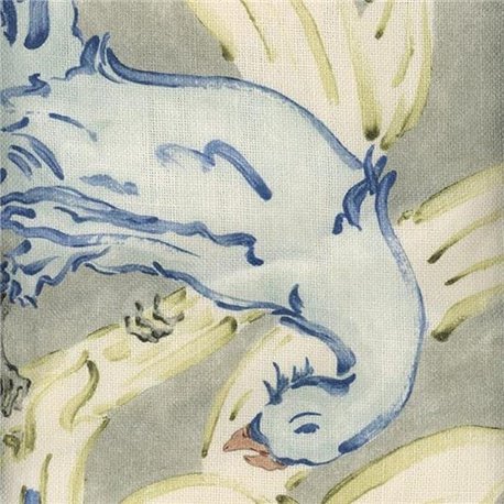 Aves Indigo Aves Indigo