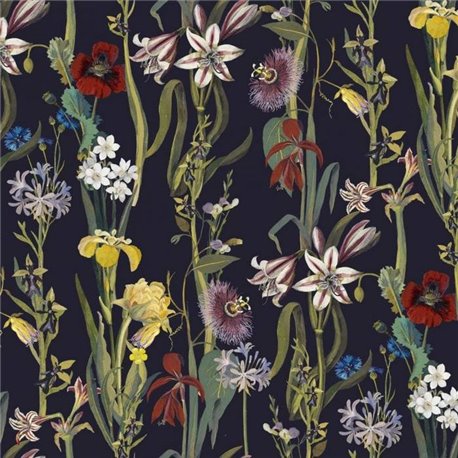 FLORA DELANICA MIDNIGHT FLORA DELANICA MIDNIGHT