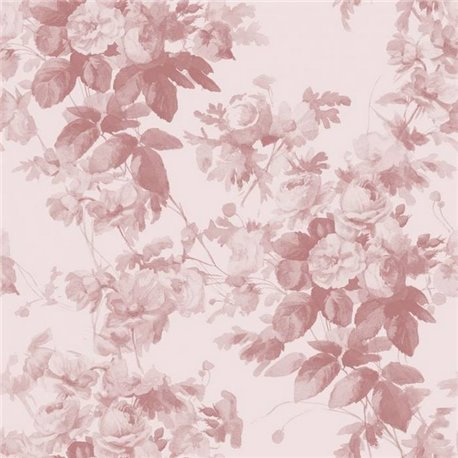 LONDON ROSE BLUSH LONDON ROSE BLUSH