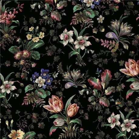 TULIPA ONYX TULIPA ONYX