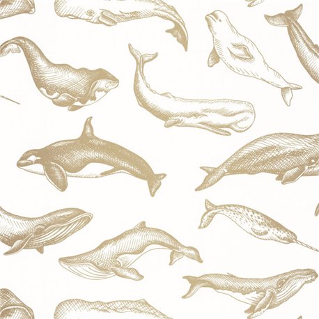 Whale Done 102790266 Whale Done 102790266