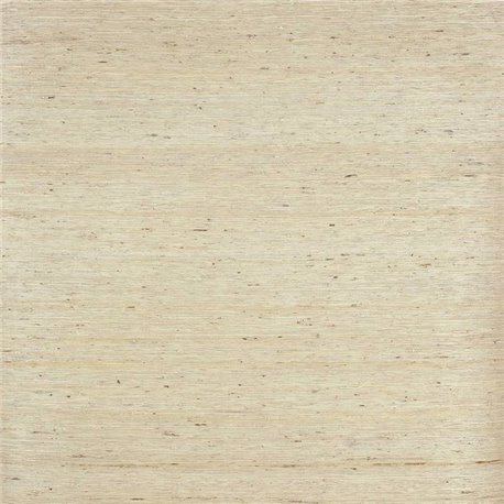 Belize Taupe 20380-01 Belize Taupe 20380-01