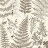 Herbarium noir 309018