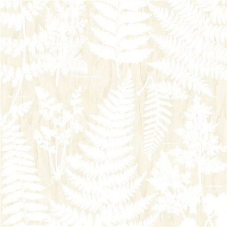 Herbarium White 309019 Herbarium White 309019