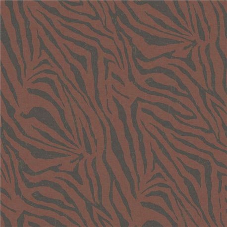 Zebra Rhubarb 309066 Zebra Rhubarb 309066