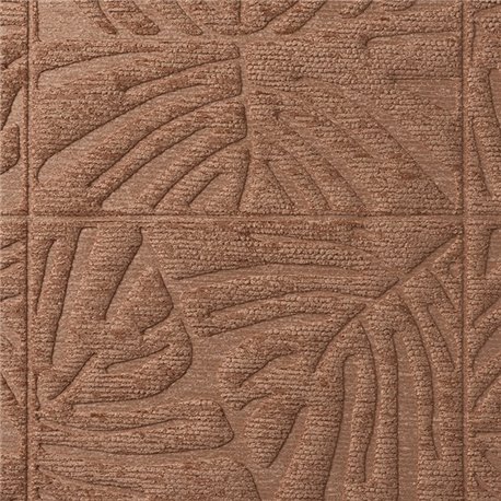 Monstera Blush 43023 Monstera Blush 43023