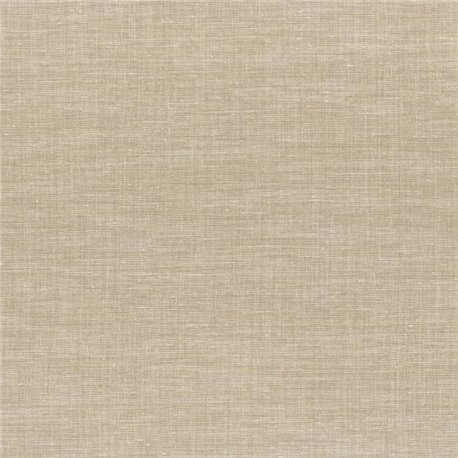 Shinok Champagne 73810314 Shinok Champagne 73810314