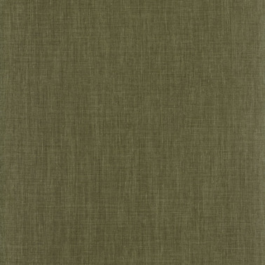 Shinok Lichen 73816508