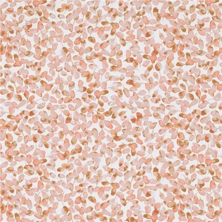 Ada Blush 7935-01 Ada Blush 7935-01