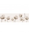 INKDN1302 DIAPHANOUS