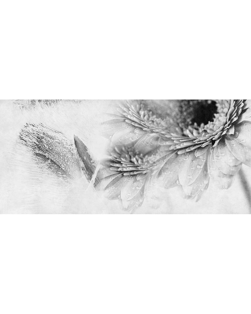 Wallpaper INKKKCR1403 CRAZY FLOWERS - INKIOSTRO BIANCO