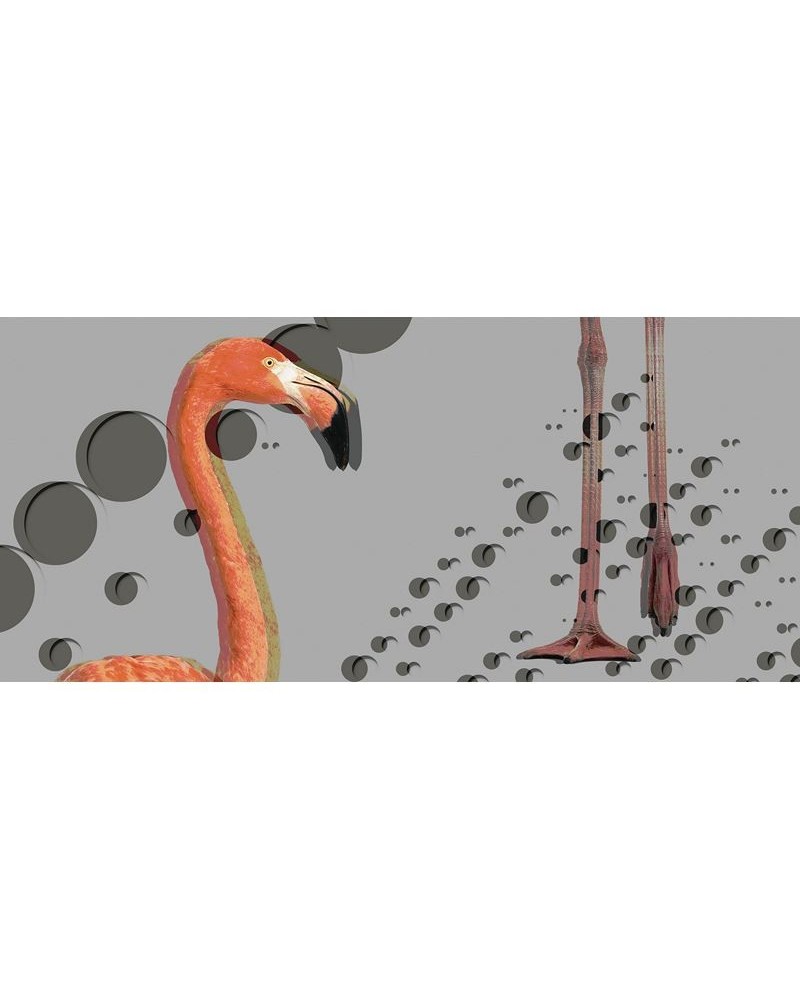 Carta da Parati INKSSLI1403 FLAMINGOS - INKIOSTRO BIANCO Carta da Parati INKSSLI1403 FLAMINGOS - INKIOSTRO BIANCO