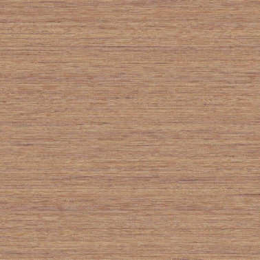 tc70311