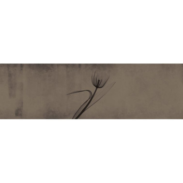 Papel Pintado INKXY1302 XRAY - INKIOSTRO BIANCO