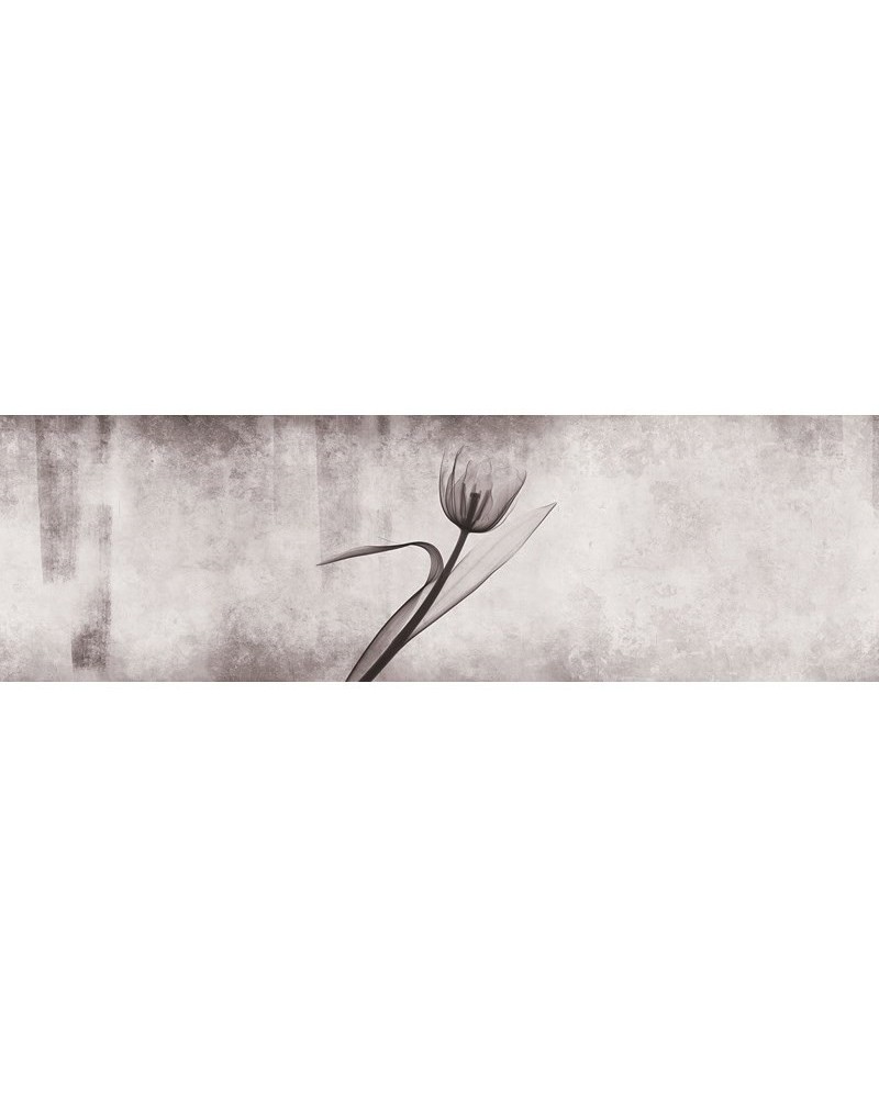 Papel de parede INKXY1303 XRAY - INKIOSTRO BIANCO Papel de parede INKXY1303 XRAY - INKIOSTRO BIANCO