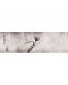 Papel de parede INKXY1303 XRAY - INKIOSTRO BIANCO