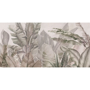 VINÍLICA AMAZONIA SOFT