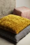 CLEOPATRA 56 GRIZZLIE