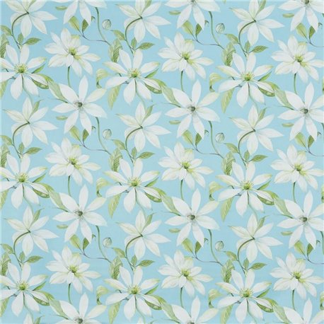 LUXEMBOURG TROPIC - 8673 613 LUXEMBOURG TROPIC - 8673 613