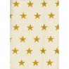 PICCADILLY STARS CURRY
