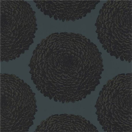 Elixity Onyx HM6W112177 Elixity Onyx HM6W112177