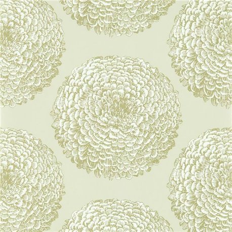 Elixity Pearl HM6W112175 Elixity Pearl HM6W112175