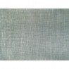 CAPRICE 19 gris acier