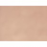 CARANDACHE 42 Abricot