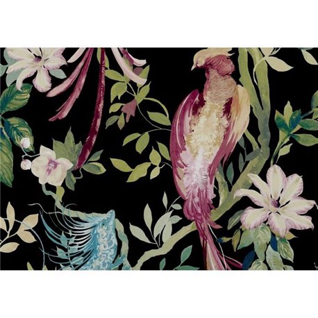Bird Sonnet Jet Black Luxury 2109-157-05 Bird Sonnet Jet Black Luxury 2109-157-05