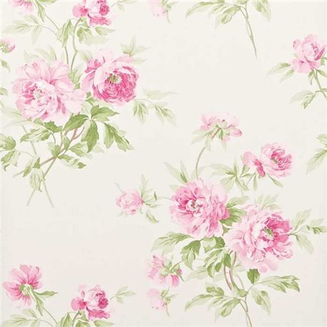 Adele Raspberry-Ivory DCAVAD104 Adele Raspberry-Ivory DCAVAD104