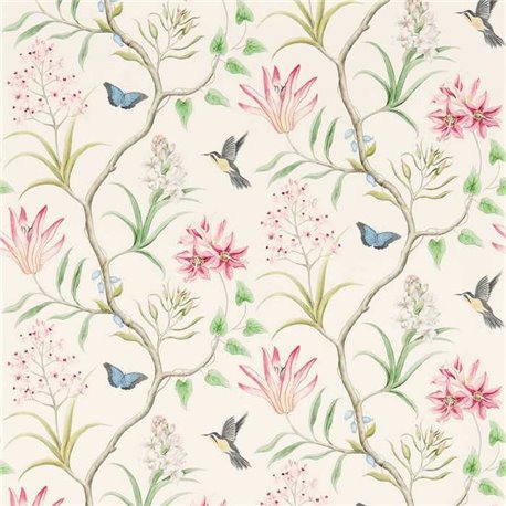 Clementine Chintz DVOY213388 Clementine Chintz DVOY213388