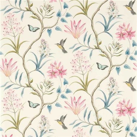Clementine Dusky Pink DVOY213386 Clementine Dusky Pink DVOY213386