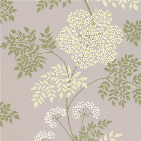 Cowparsley Amethyst DOPWCO103 Cowparsley Amethyst DOPWCO103
