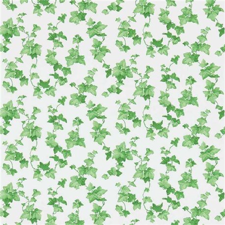 Hedera Green DVIN214593 Hedera Green DVIN214593