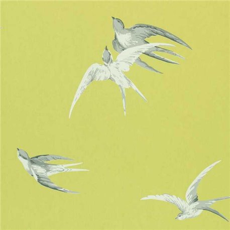 Swallows Lime DVIWSW101 Swallows Lime DVIWSW101