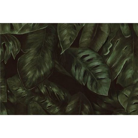 Amazon Fern R17441 Amazon Fern R17441