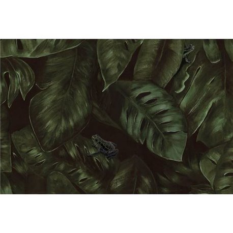 Cameroon Fern R17581 Cameroon Fern R17581