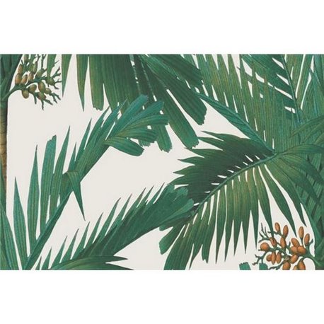 Palm Spring Pearl R17572 Palm Spring Pearl R17572