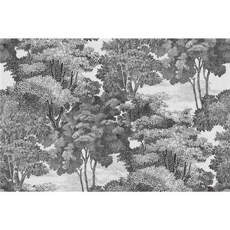 Saint Sebastian Graphite R17531 Saint Sebastian Graphite R17531