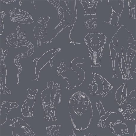 Zoology Chalk 9700185 Zoology Chalk 9700185