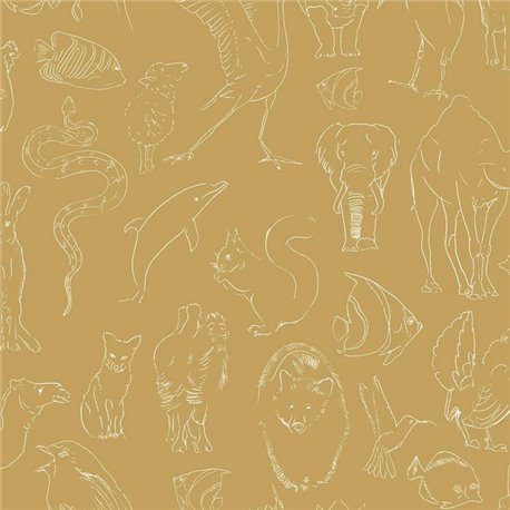 Zoology Curry 9700182 Zoology Curry 9700182