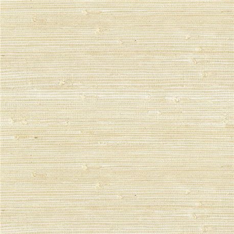 Natural Wallcoverings III 303554.jpeg Natural Wallcoverings III 303554.jpeg